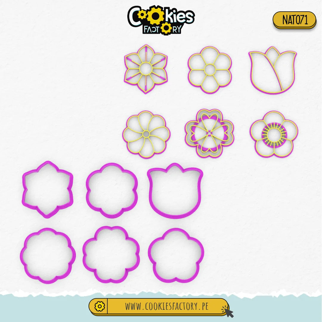 Set de Flores Grupo 2