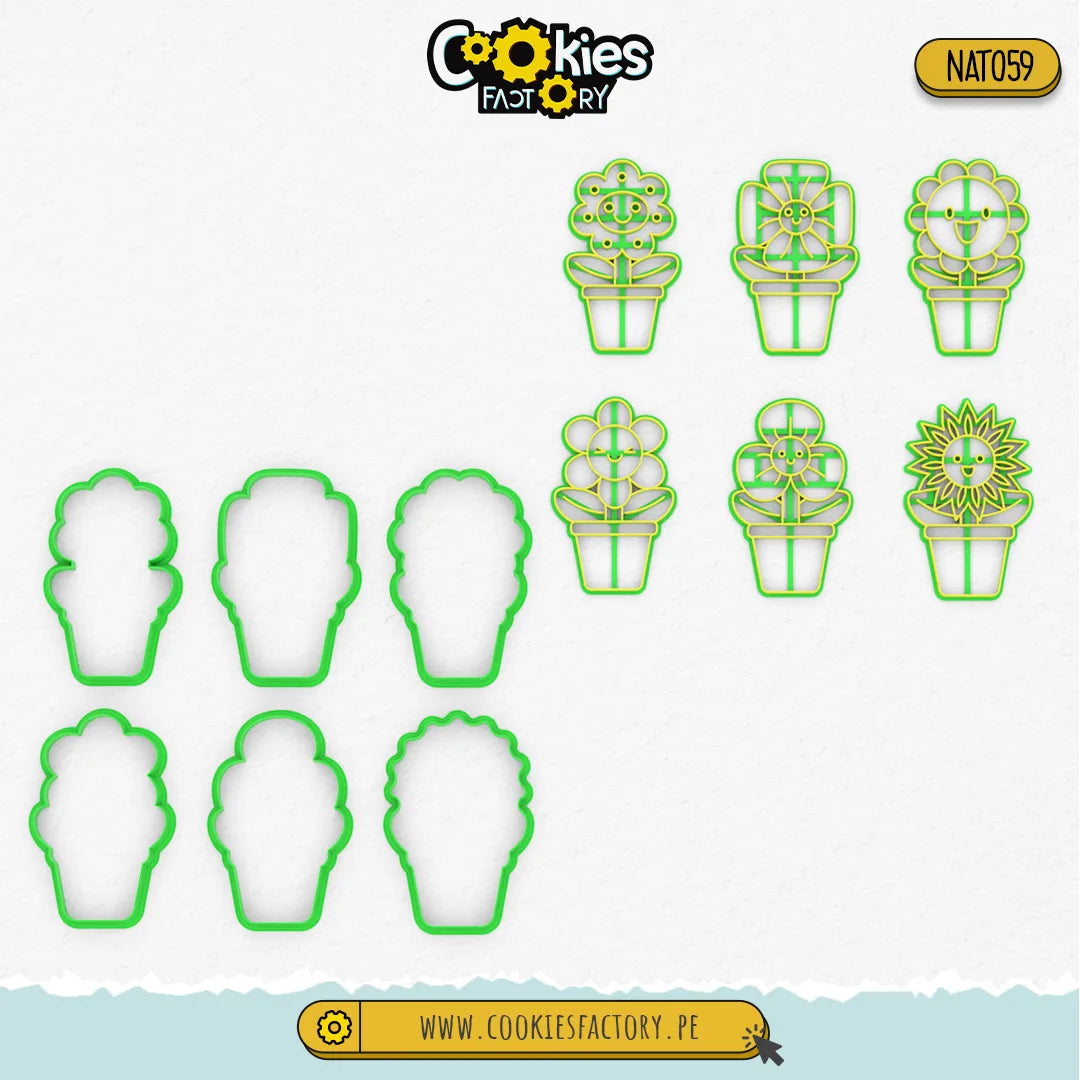 Set de Flores en Maceta