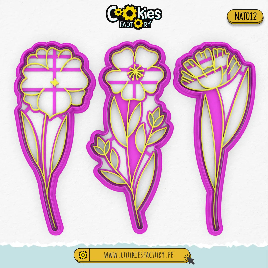 Set de Flores x3