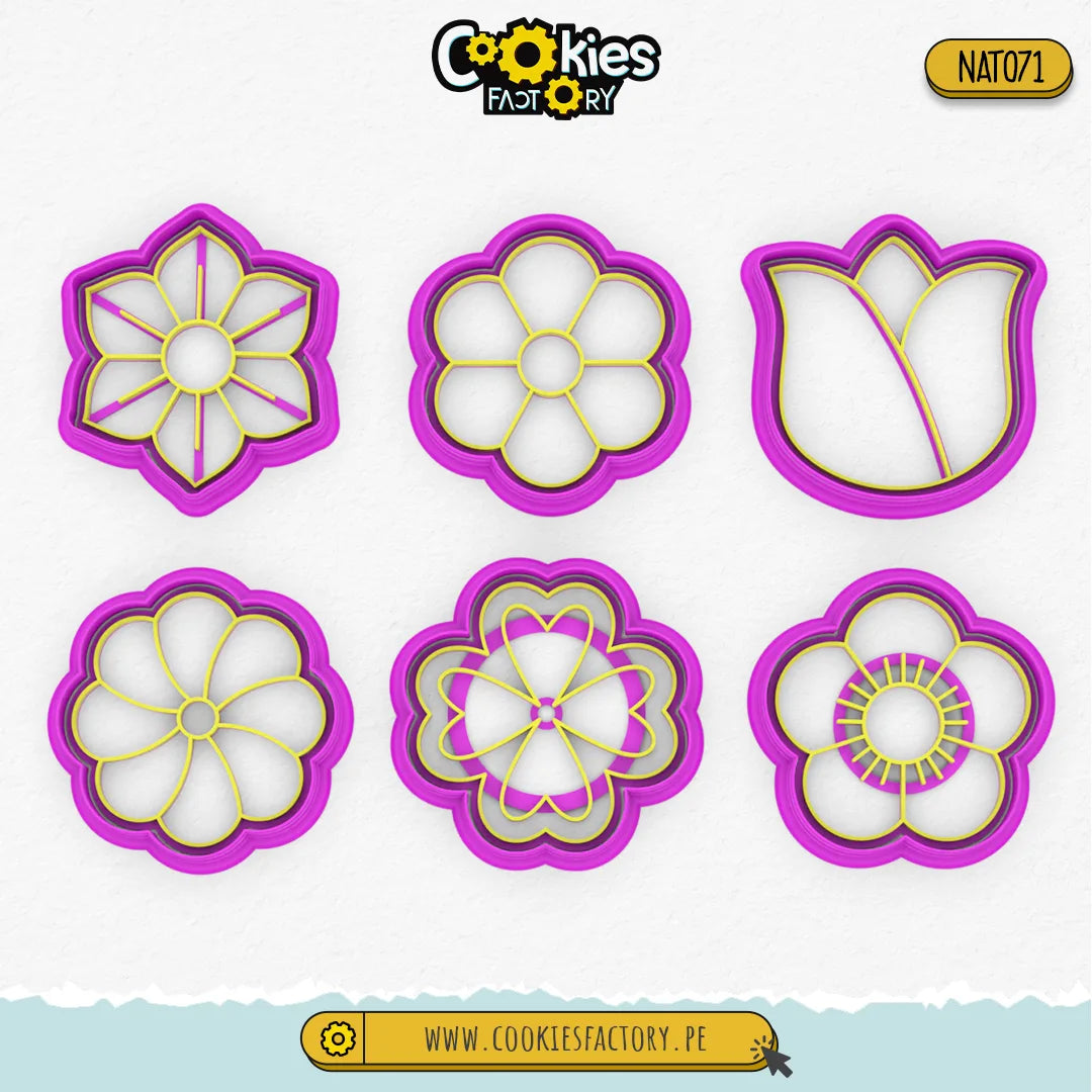 Set de Flores Grupo 2