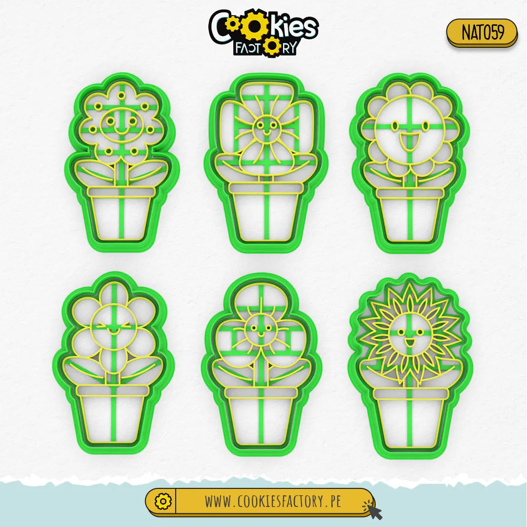 Set de Flores en Maceta