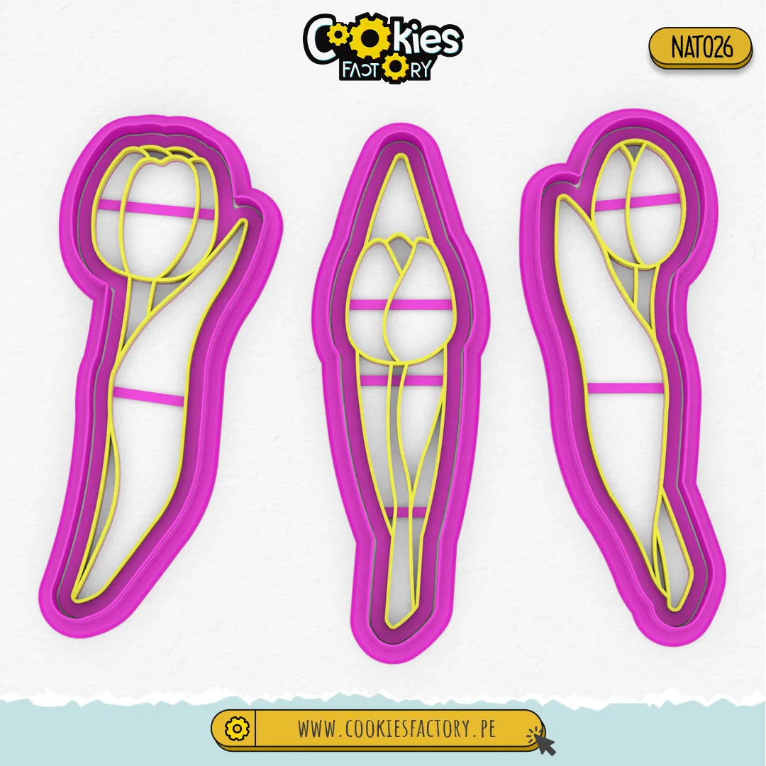 Set Ramo de Tulipanes