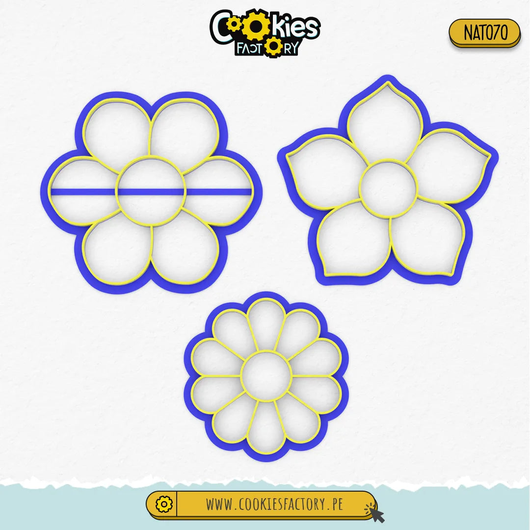 Set de Flores Grupo 1