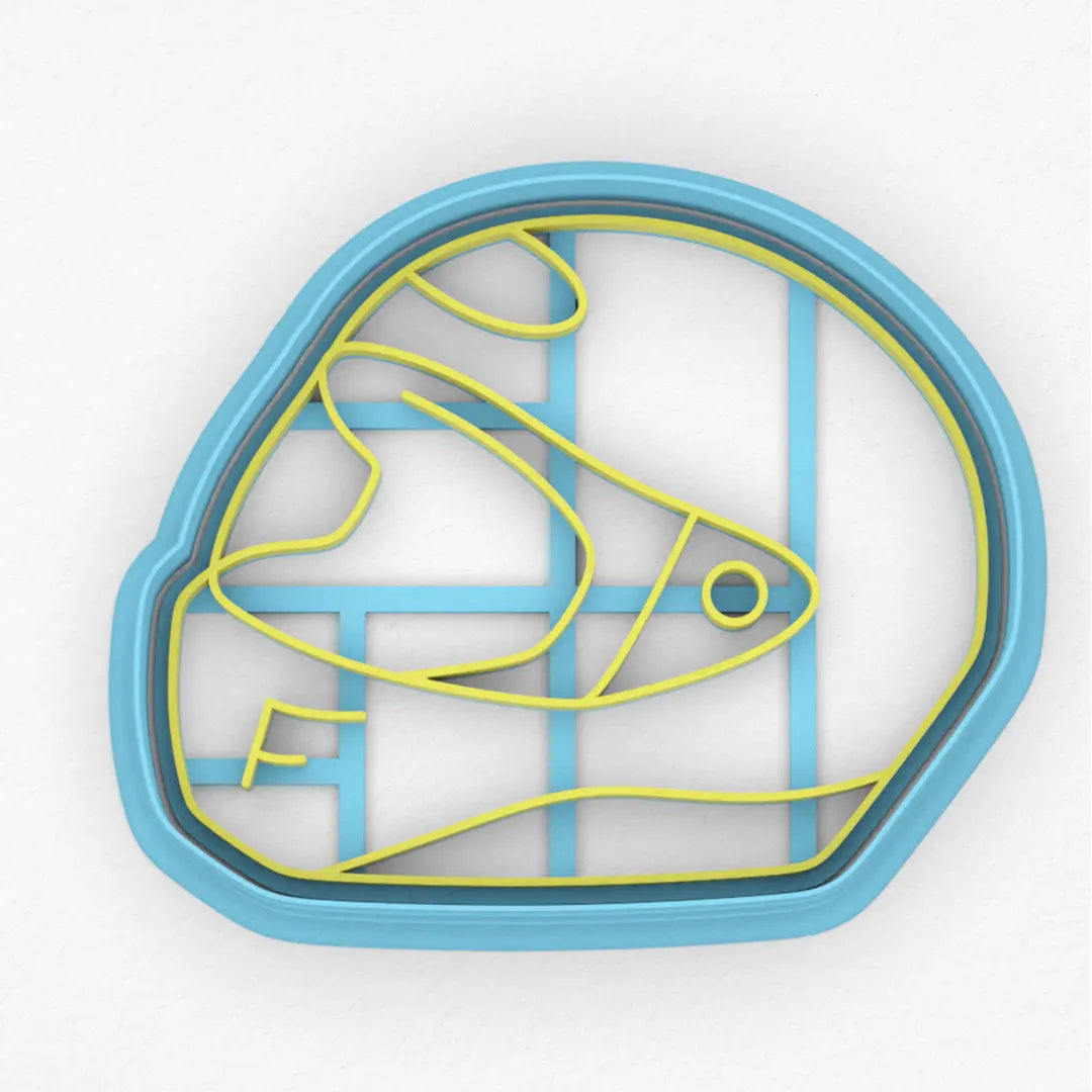 Casco de Moto