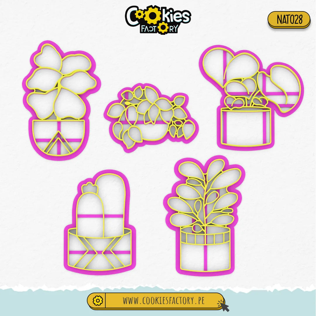 Set de Plantas en Maceteros