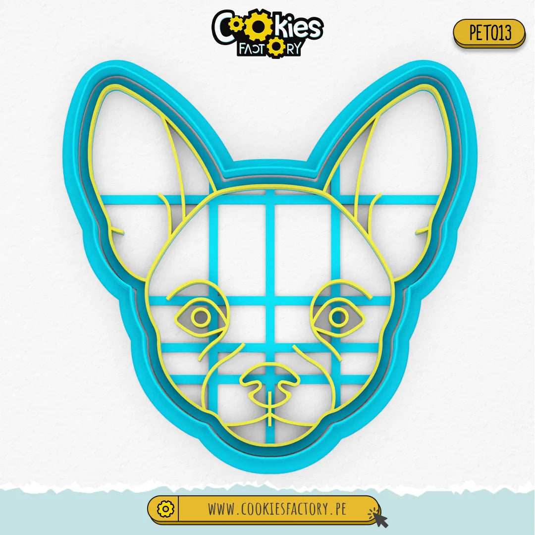 Chihuahua
