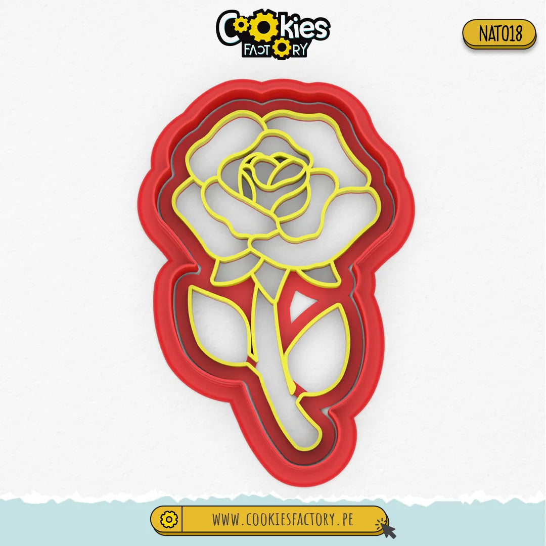 Rosa