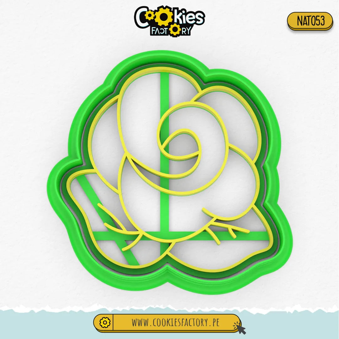 Rosa 2